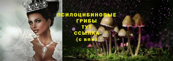 тгк Абдулино